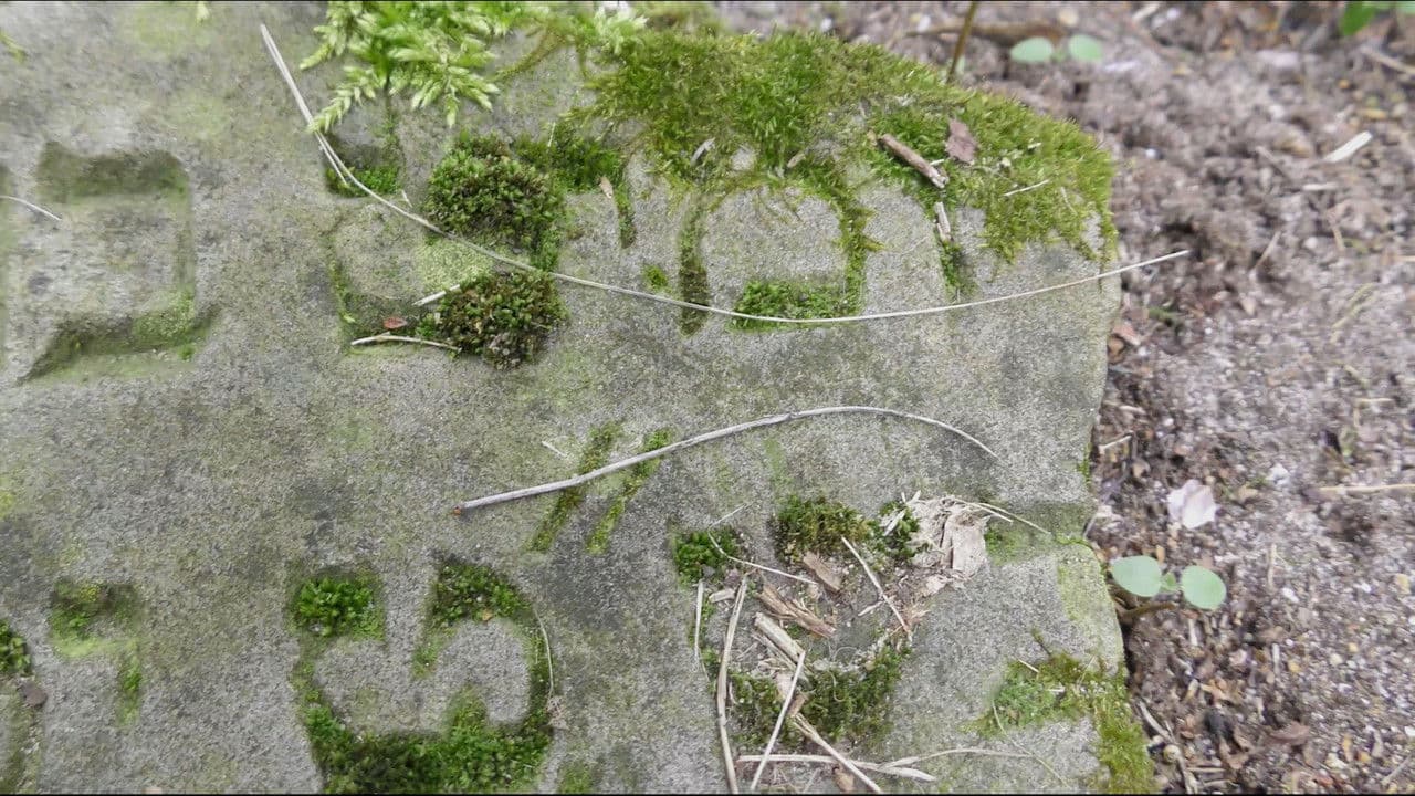 Backdrop – Hemshej