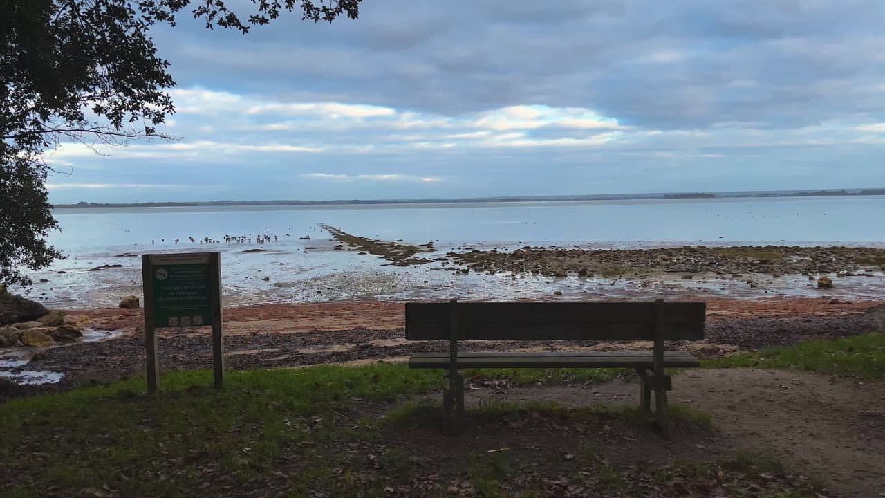 Backdrop – Accueillir les Moments