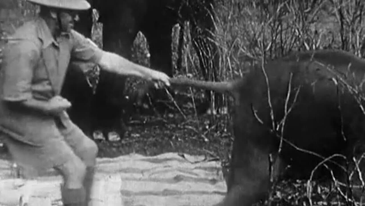 Backdrop – Indian Elephants in the Service of Man