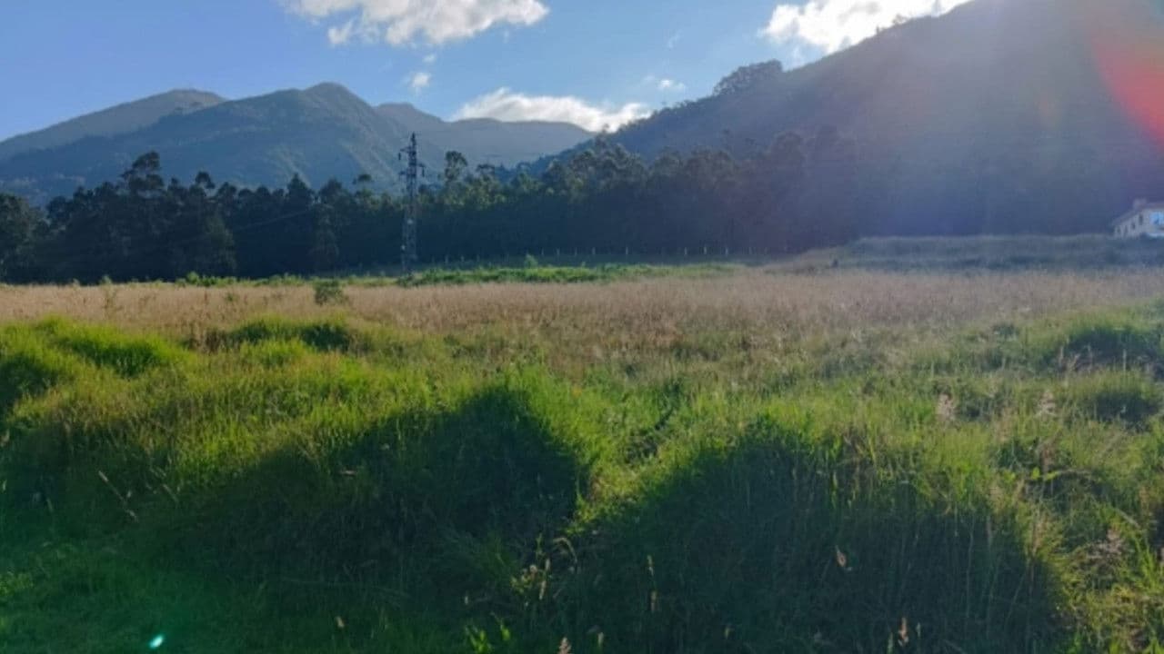 Backdrop – Wakcha Tamya