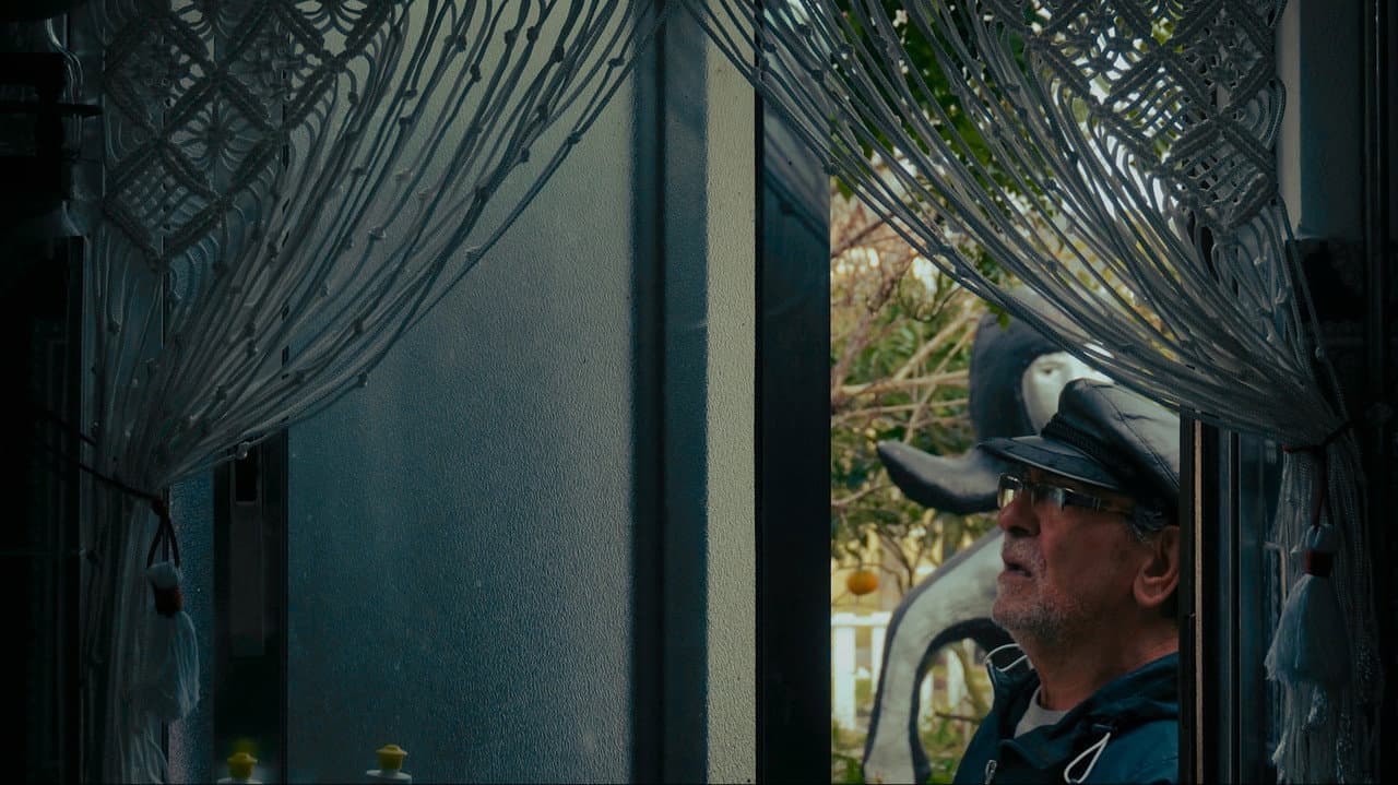 Backdrop – Cananga