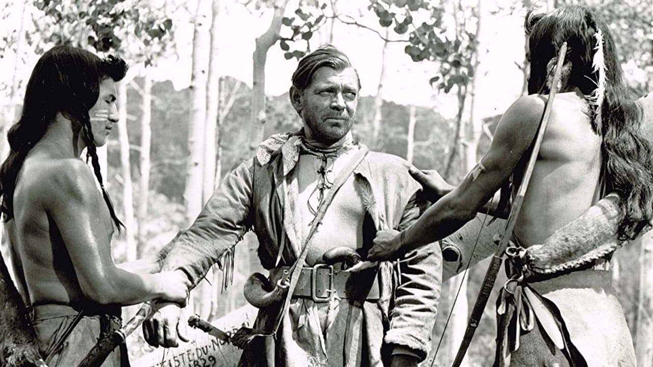 Backdrop – Colorado