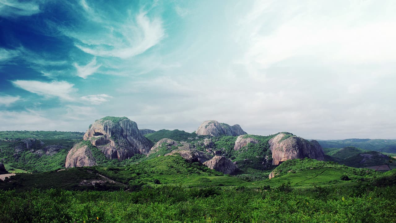 Backdrop – Wild Brazil