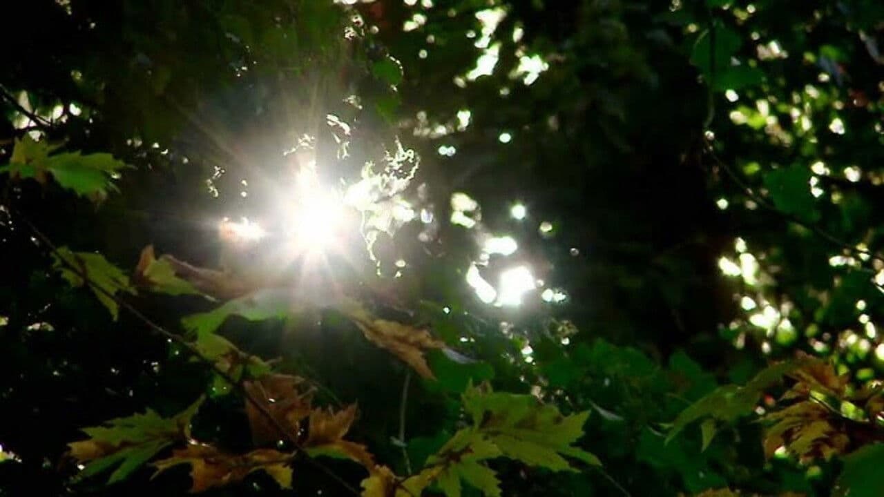 Backdrop – Χρυσός στα Χρόνια της Κρίσης: Ο Θησαυρός της Κασσάνδρας