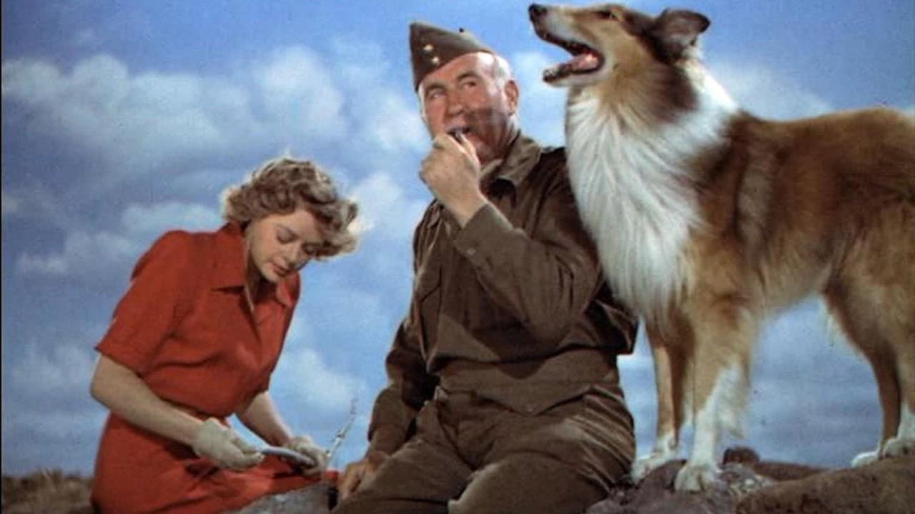 Backdrop – Son of Lassie