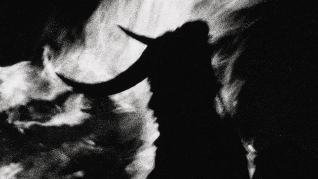 Backdrop – Una Dança Non Sancta