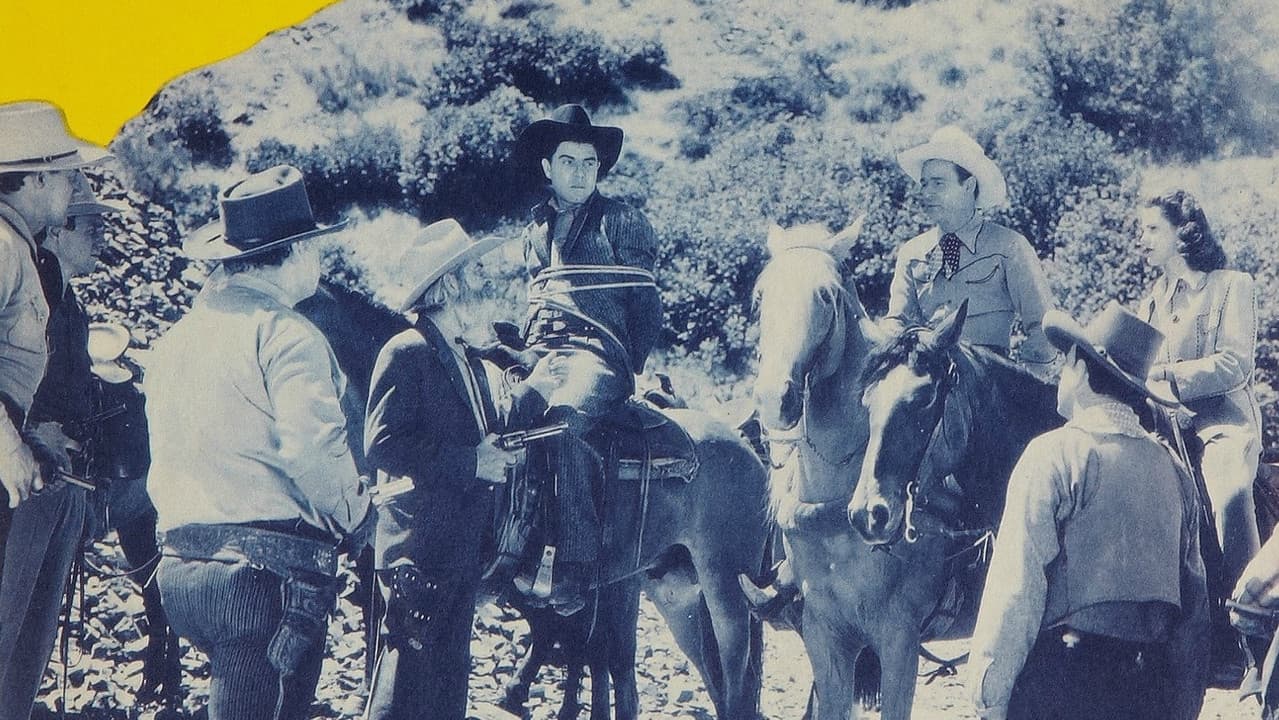 Backdrop – Sunset Serenade