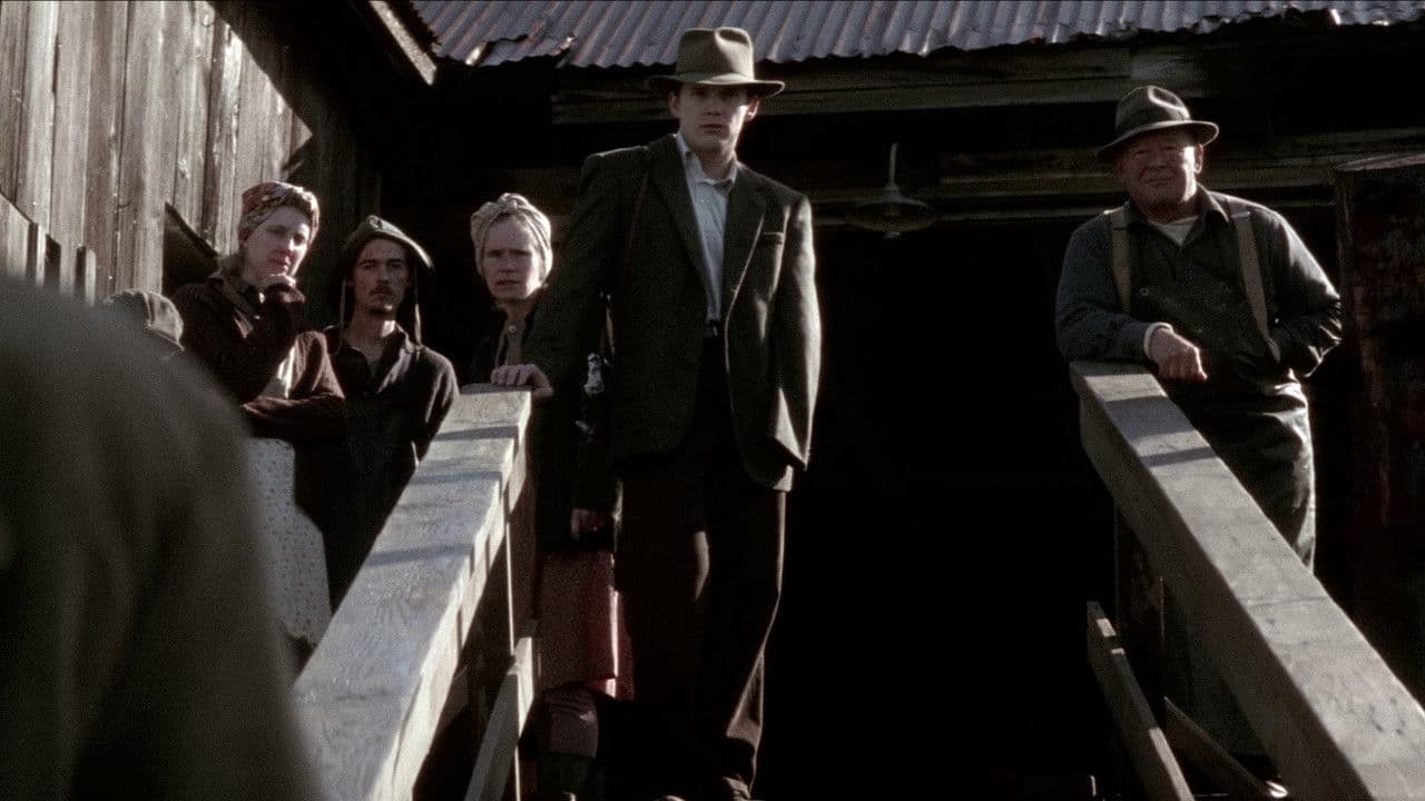 Backdrop – Schnee, der auf Zedern fällt