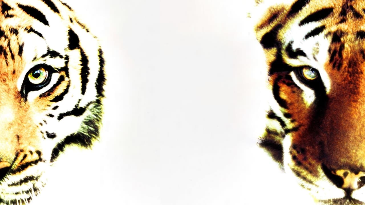 Backdrop – Zwei Brüder