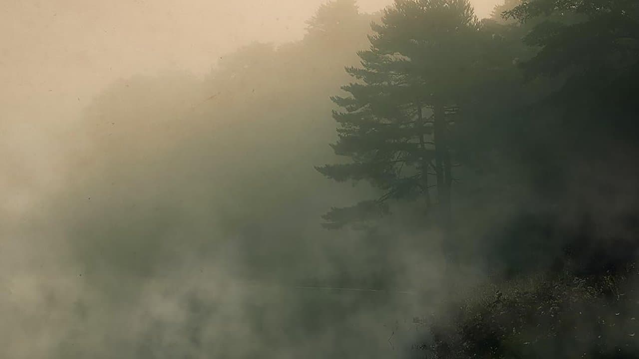 Backdrop – Devil in the Ozarks