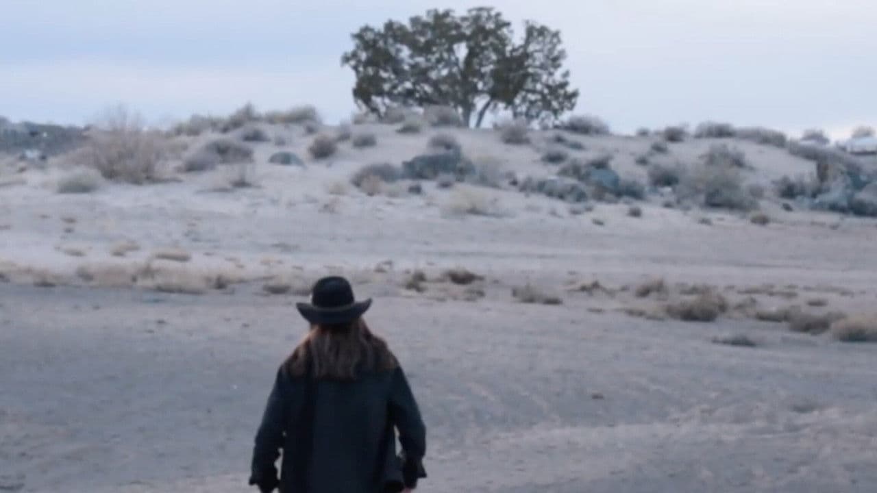 Backdrop – Man in the Mesa