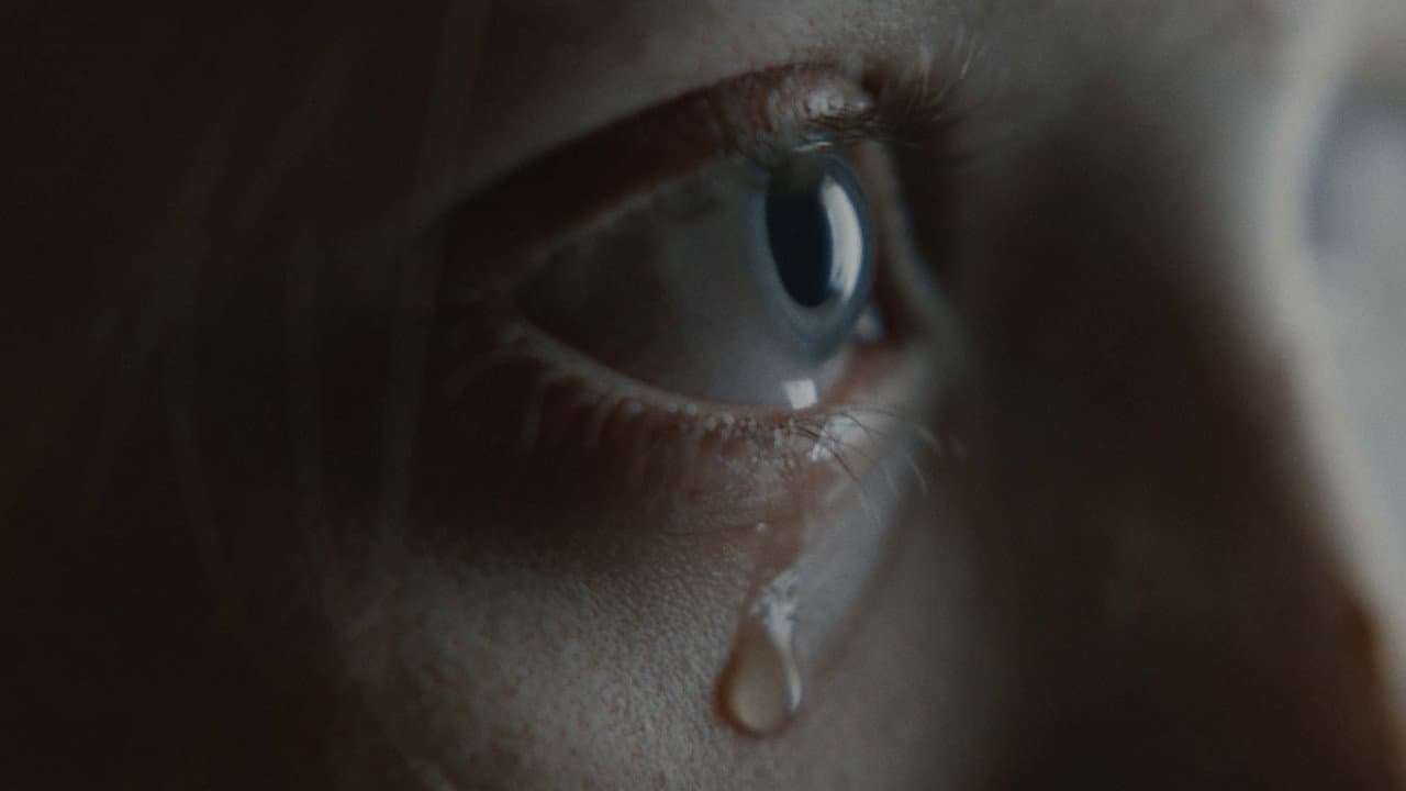 Backdrop – Anastatica