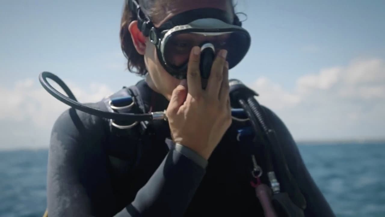 Backdrop – Sirenas Contra el Plástico
