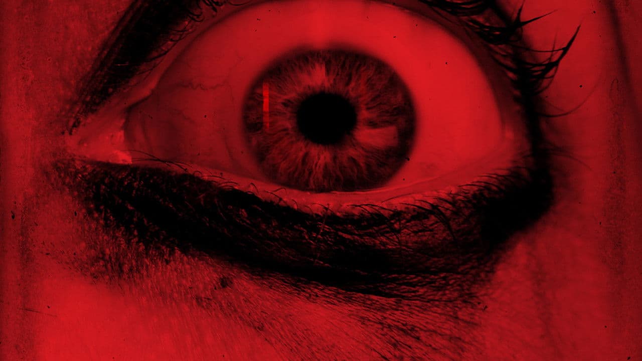 Backdrop – Shelter