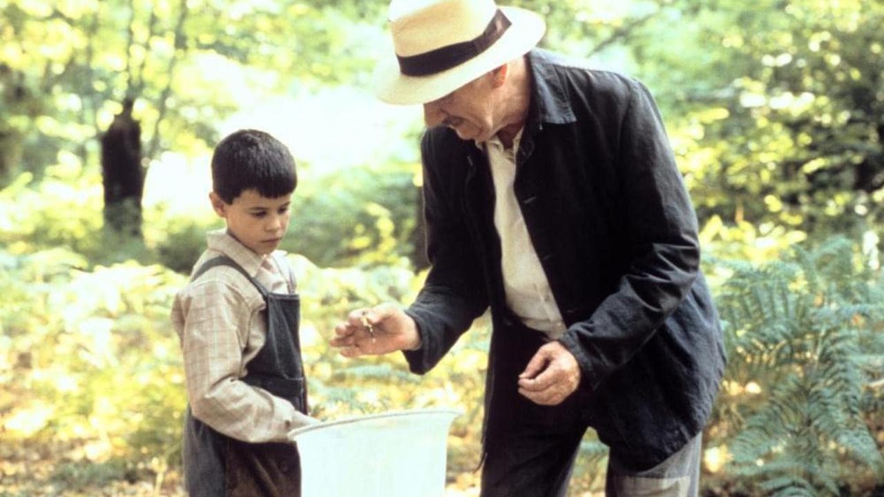 Backdrop – La lengua de las mariposas