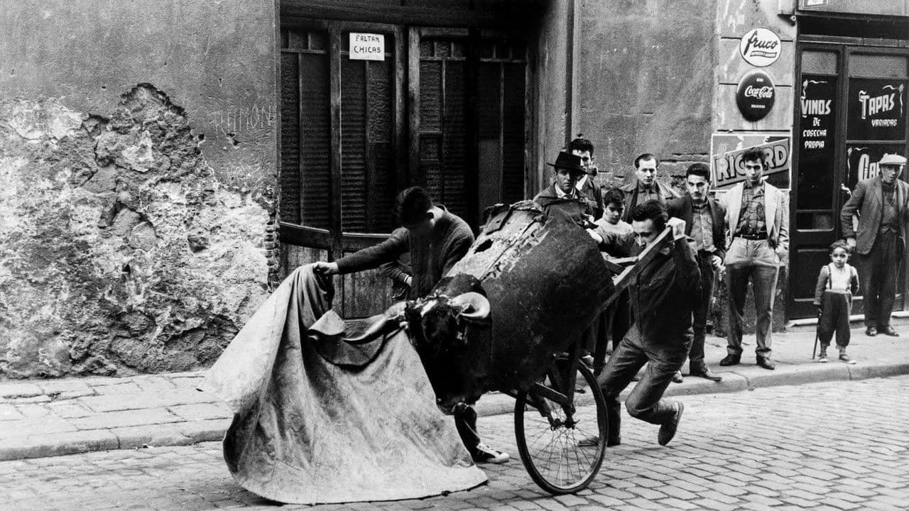 Backdrop – 52 domingos