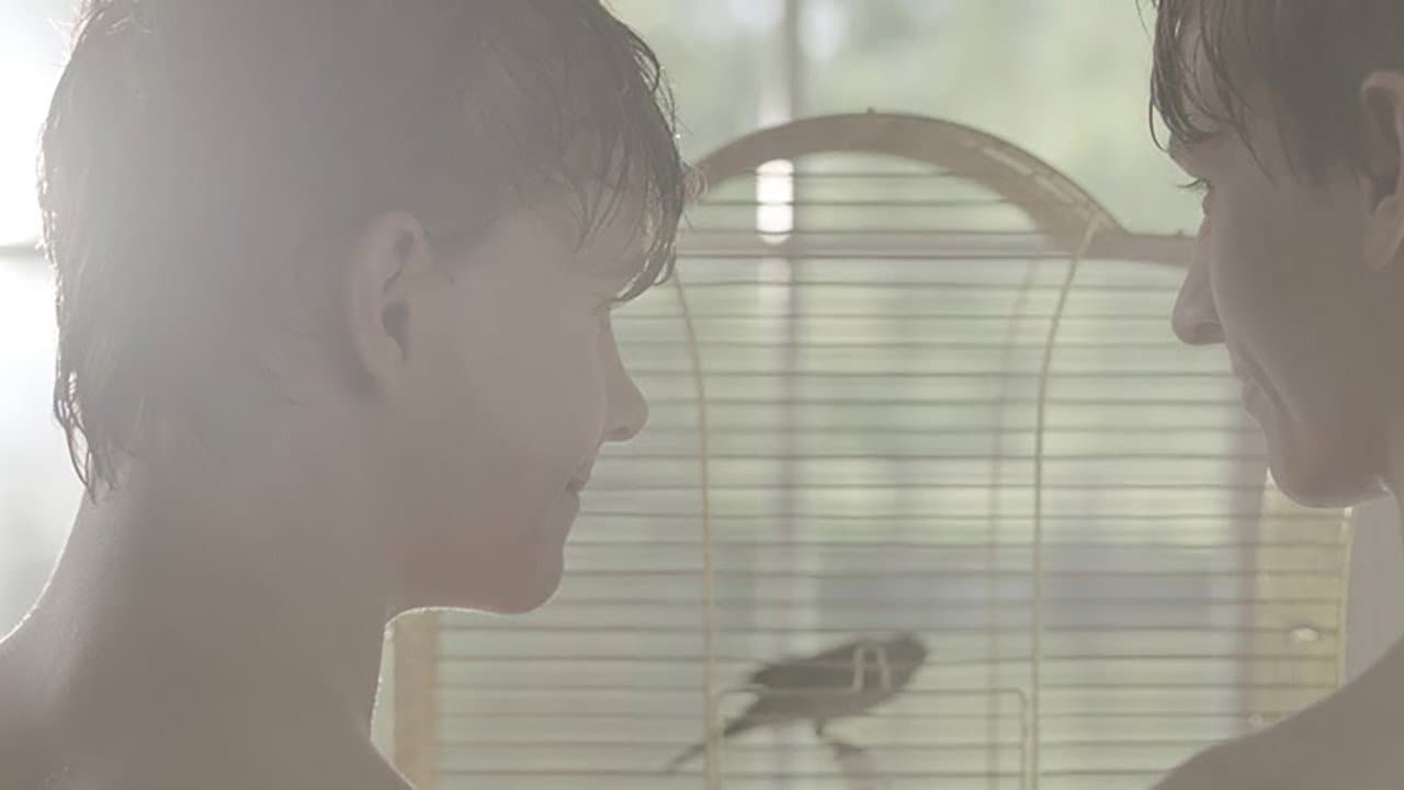 Backdrop – Daniël