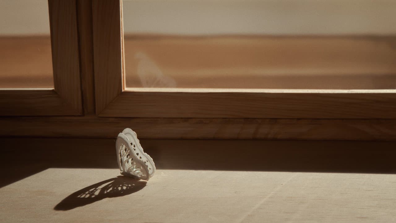 Backdrop – En mille pétales