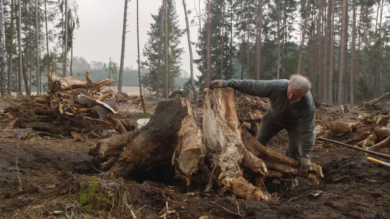 Backdrop – Über die Jahre