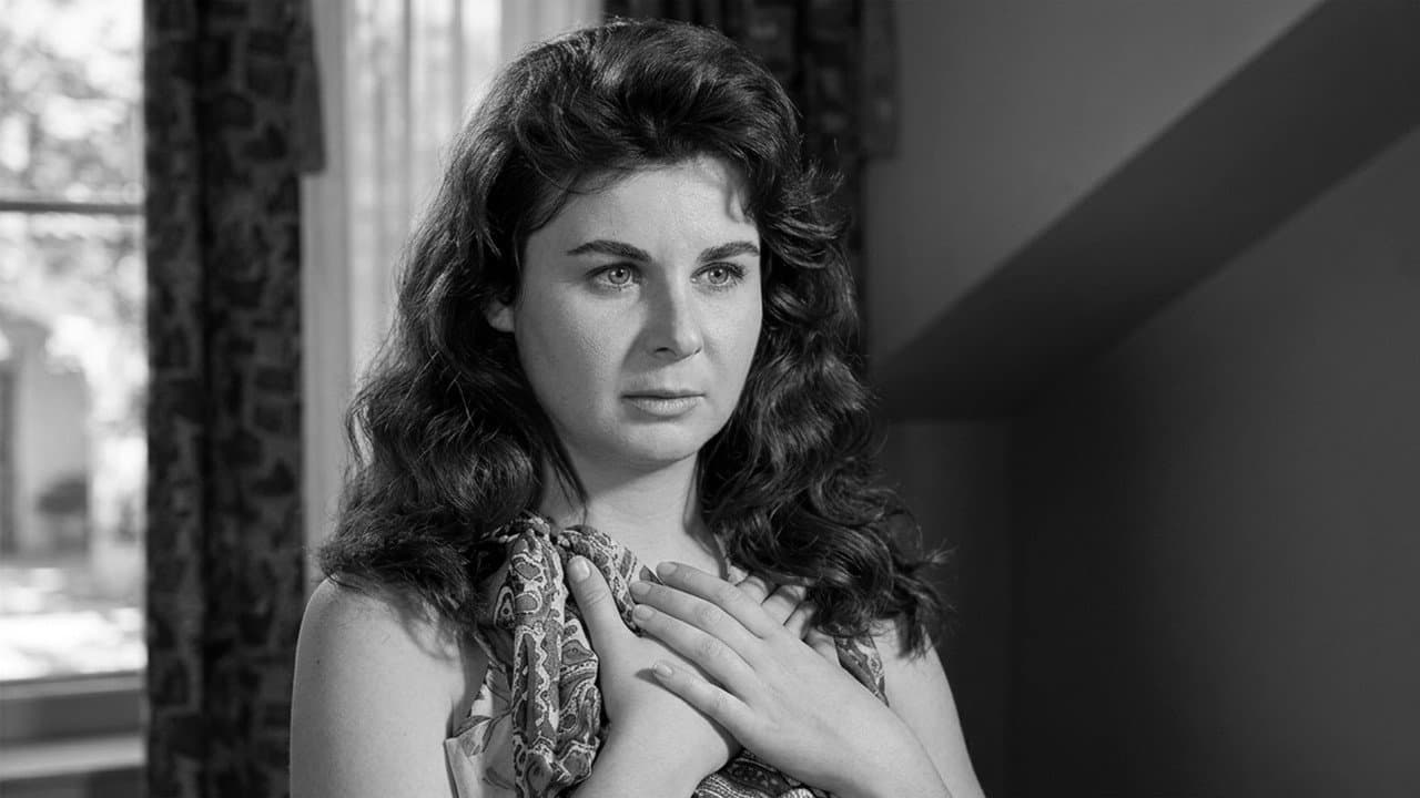 Backdrop – Civanmert