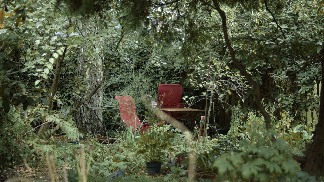 Backdrop – SYNCHRONOUS