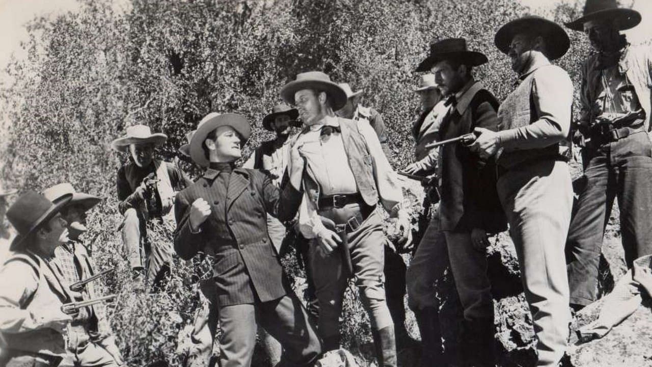 Backdrop – Der Draufgänger von Boston