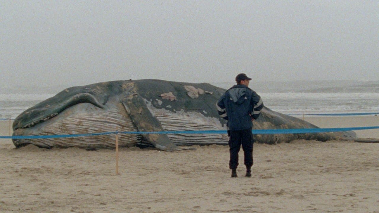 Backdrop – 1001 Nacht: Teil 1: Der Ruhelose