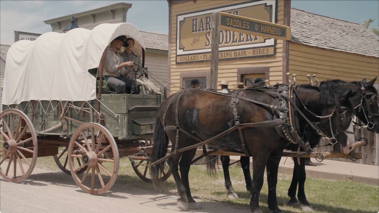 Backdrop – Sod and Stubble