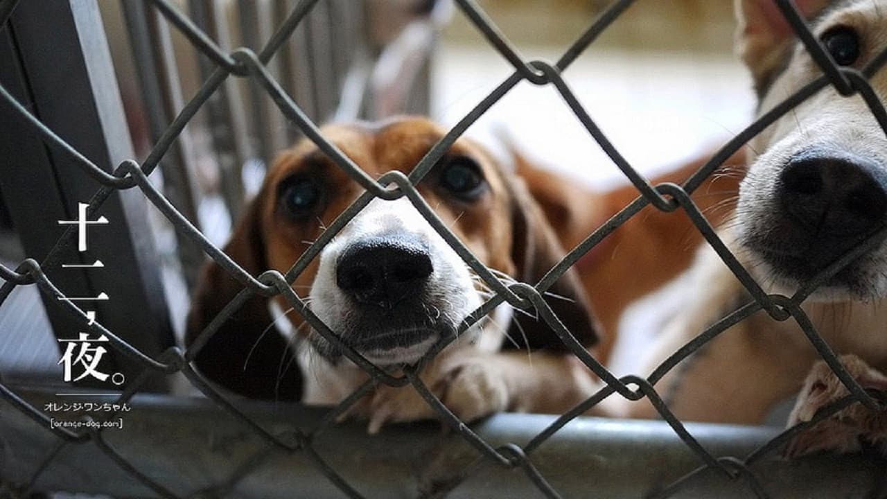 Backdrop – 十二夜