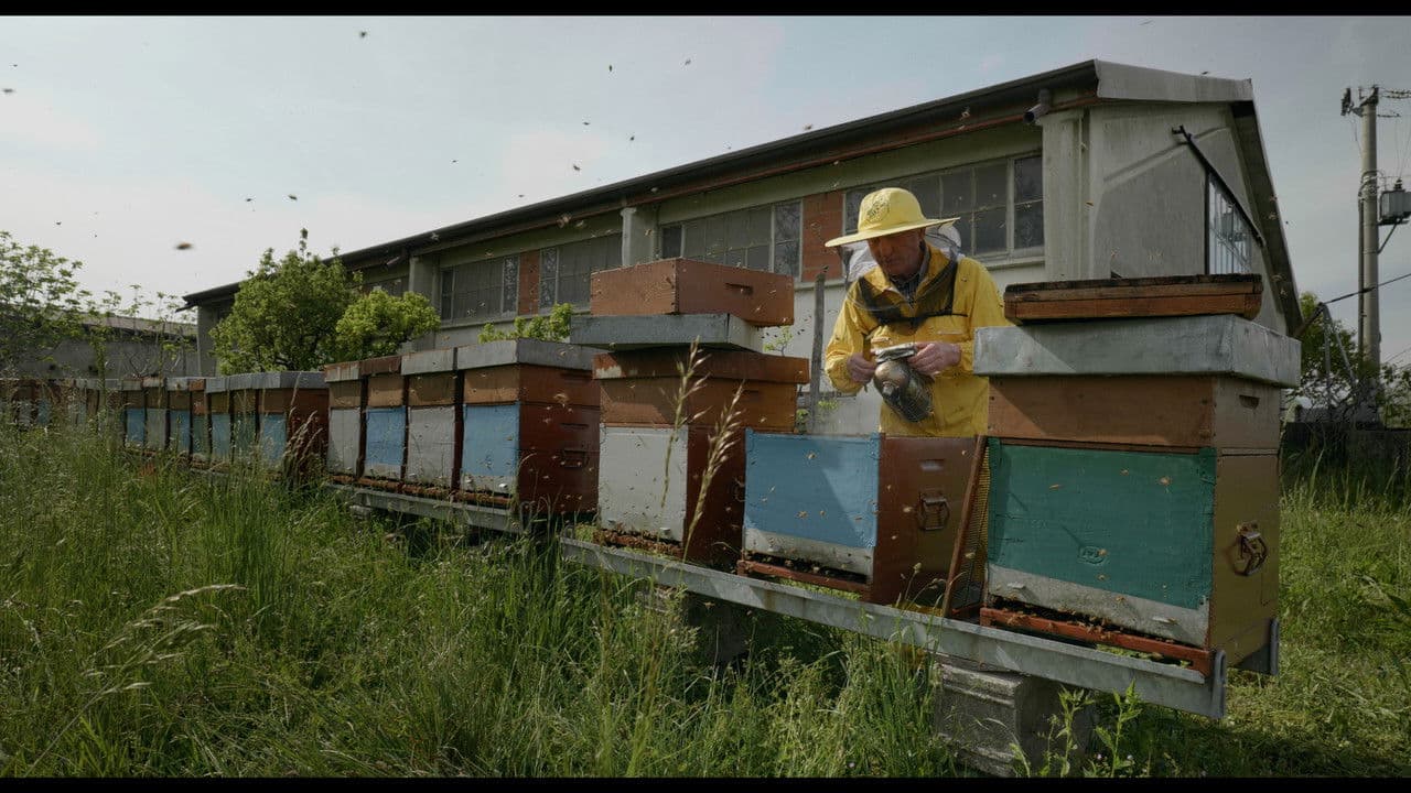 Backdrop – Una passione dirompente