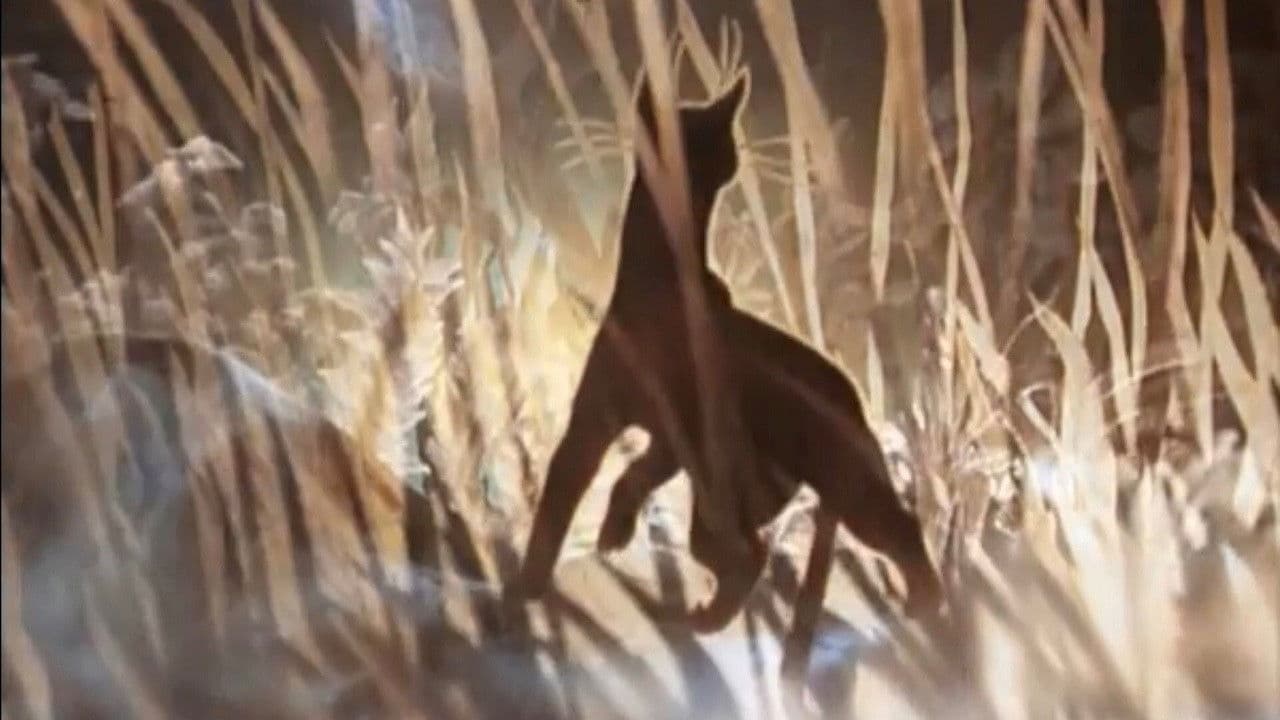 Backdrop – Кошка, которая гуляла сама по себе