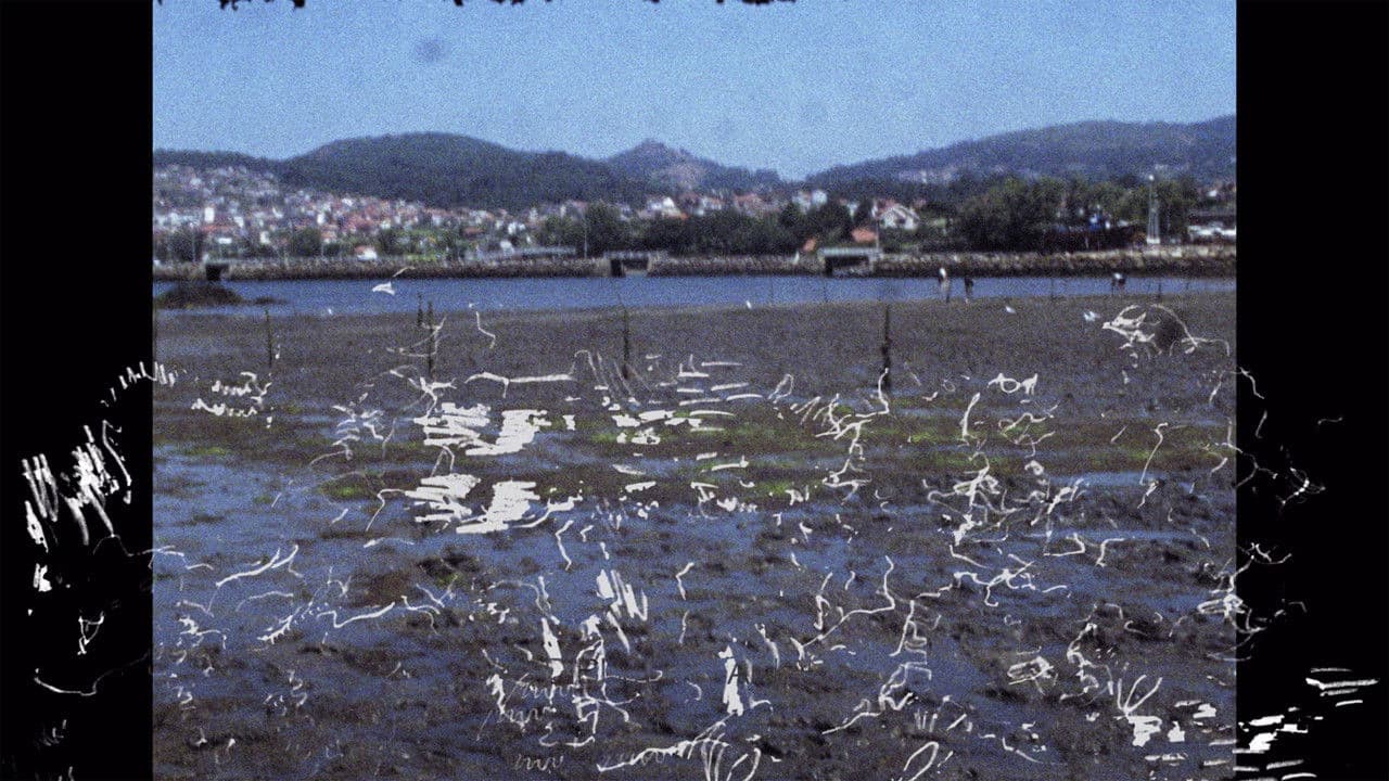 Backdrop – Tatuado nos ollos levamos o pouso