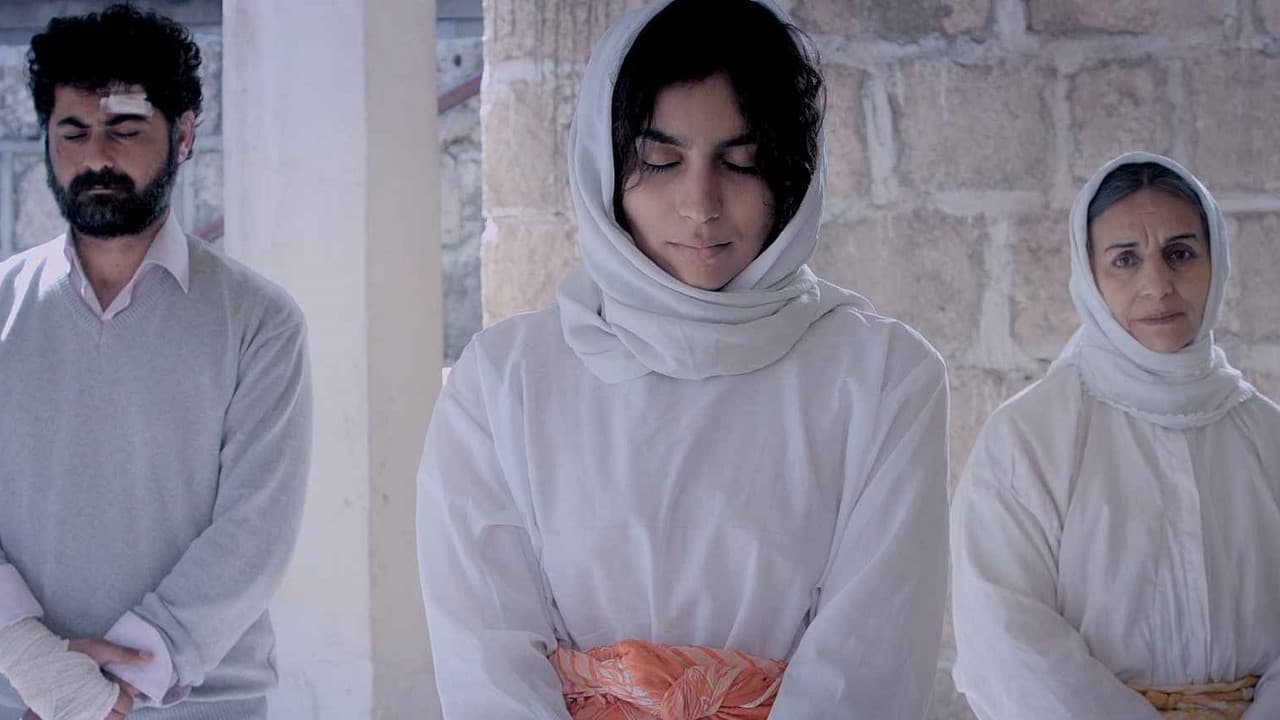 Backdrop – Reşeba