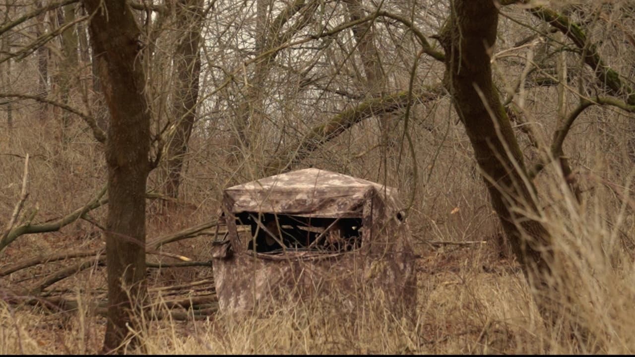 Backdrop – One Shot
