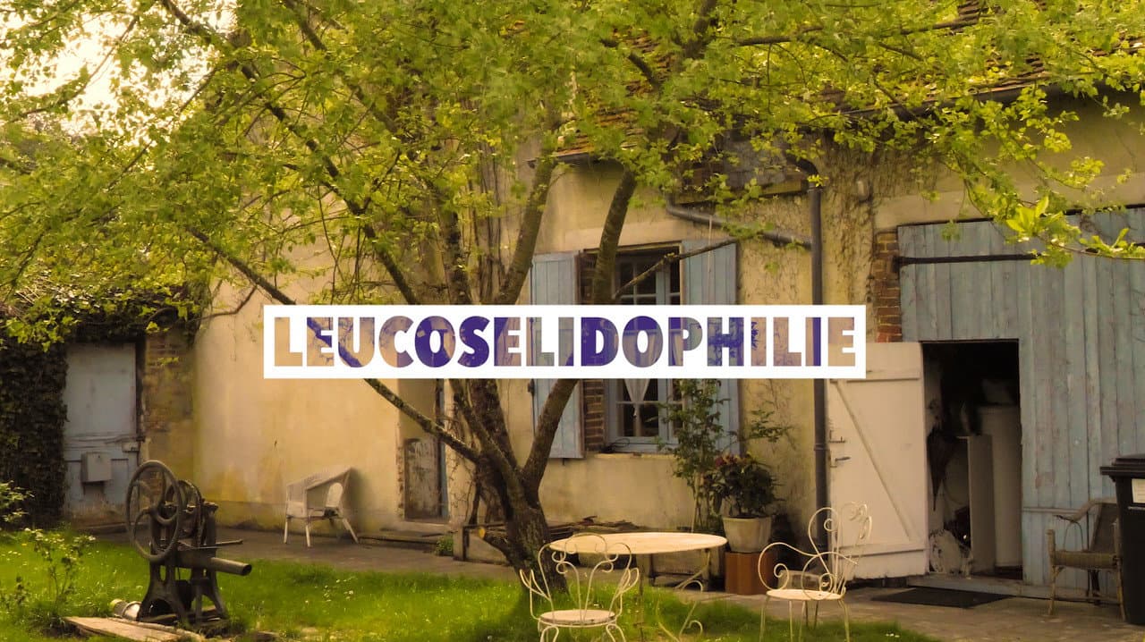 Backdrop – Leucosélidophilie