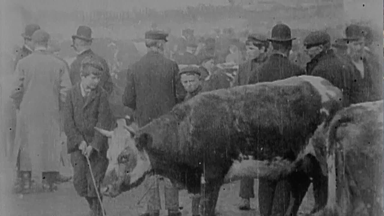 Backdrop – Cattle Market in Derry