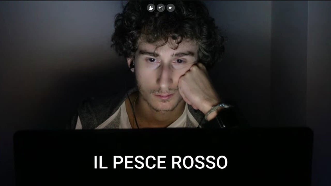 Backdrop – Il Pesce Rosso