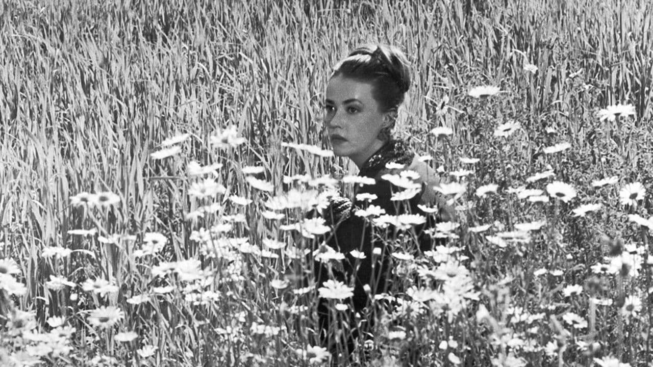 Backdrop – Mademoiselle