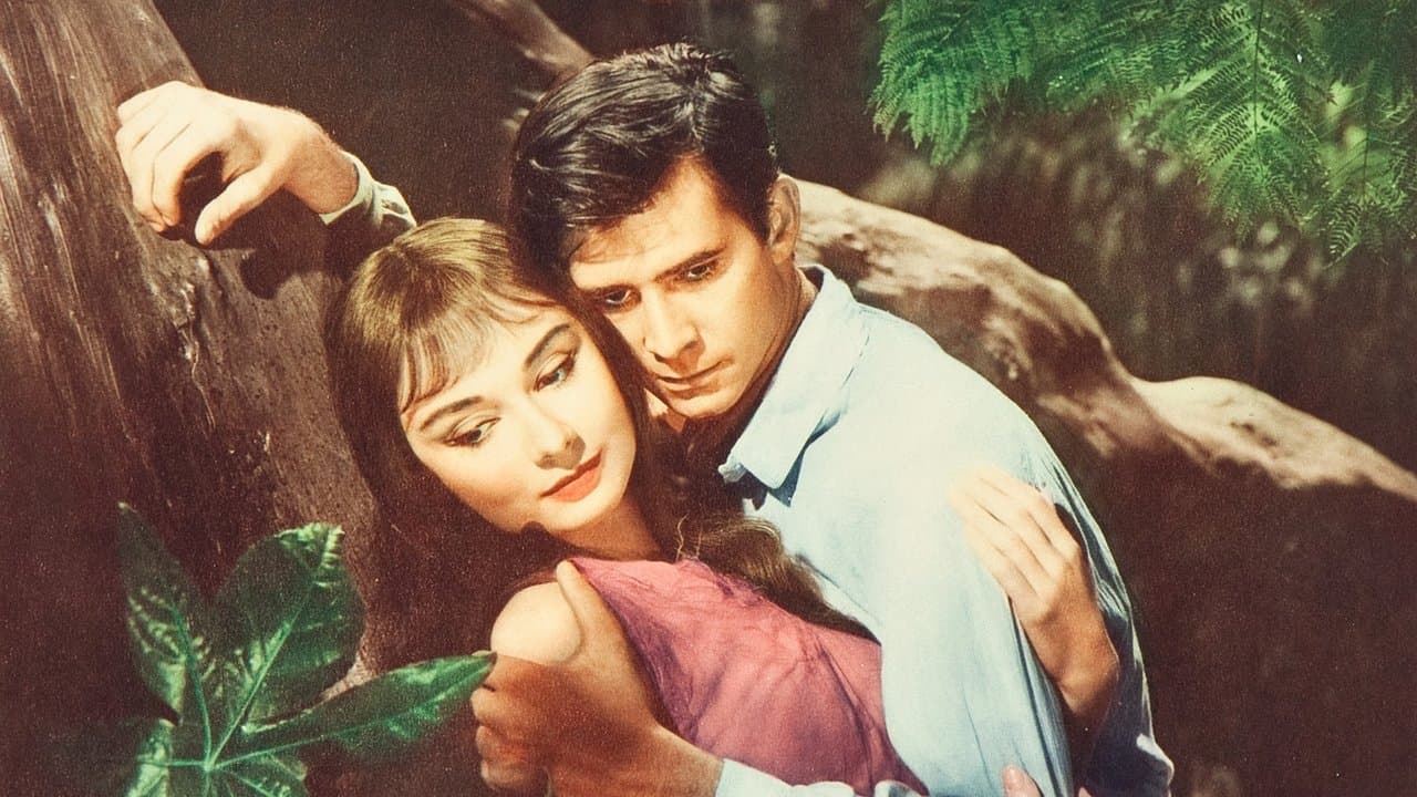 Backdrop – Tropenglut