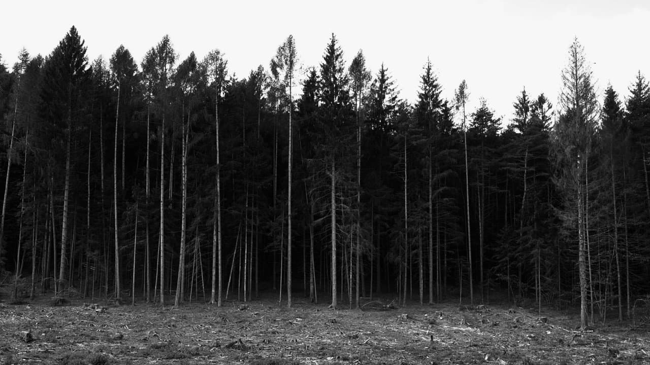 Backdrop – Non lasciarmi