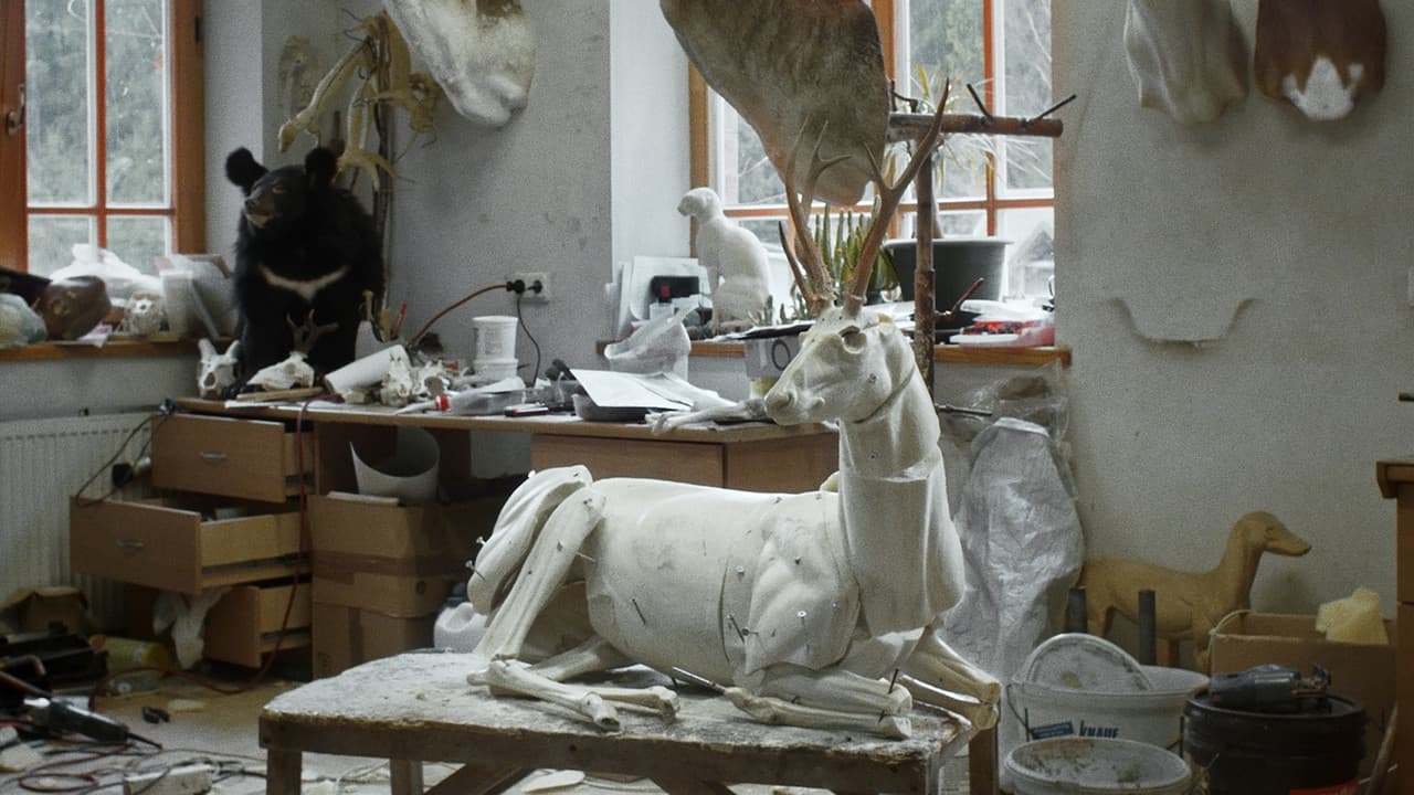 Backdrop – Animus Animalis (istorija apie žmones, žvėris ir daiktus)