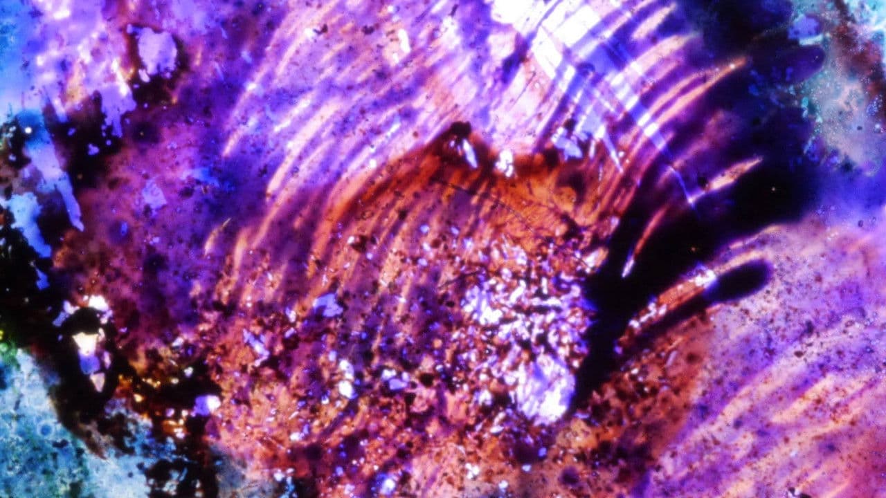 Backdrop – Elementary Phrases