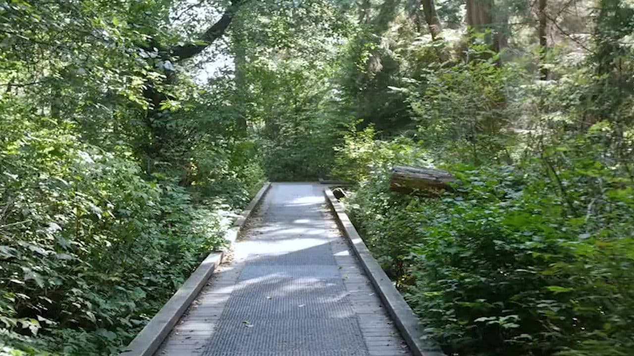 Backdrop – The Lost Vlog of Ruby Real