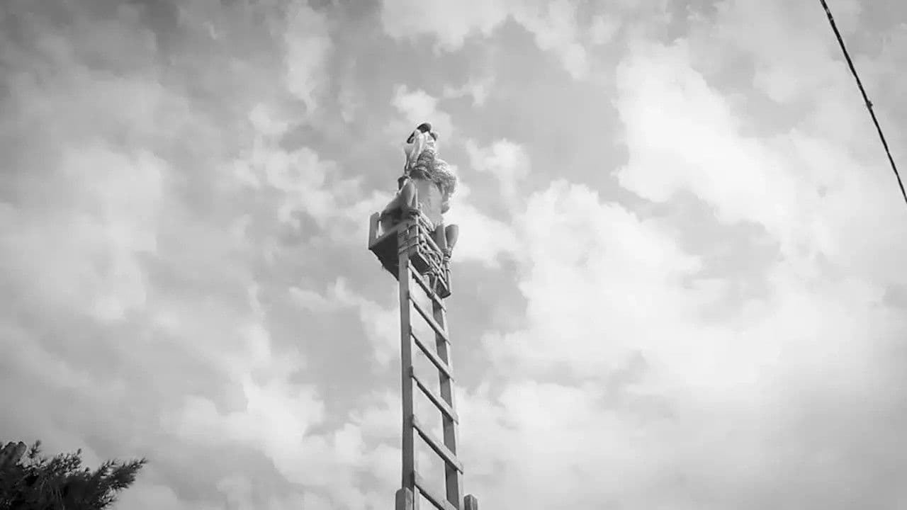 Backdrop – AQAQUÑI