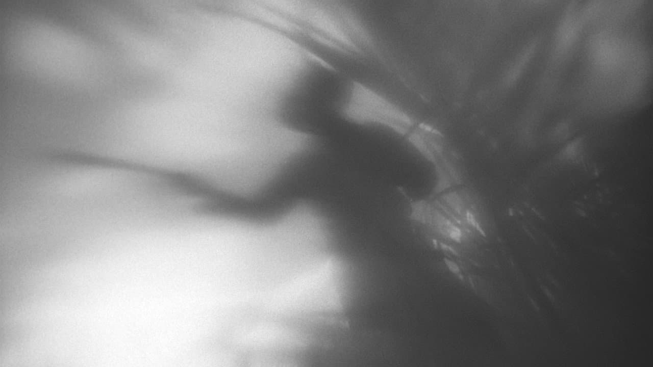 Backdrop – Ich bin Kuba