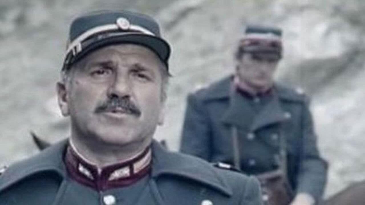 Backdrop – Тимочка буна