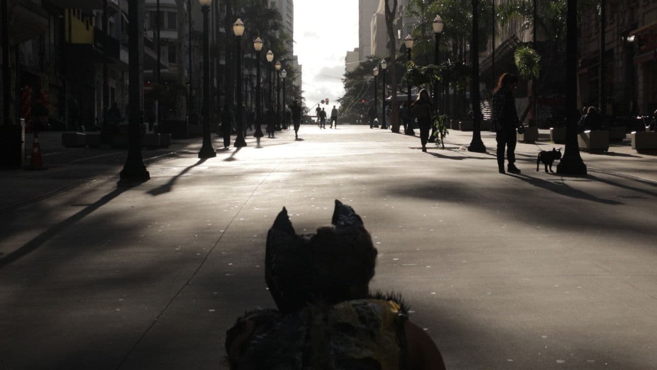 Backdrop – Dia de Cãos