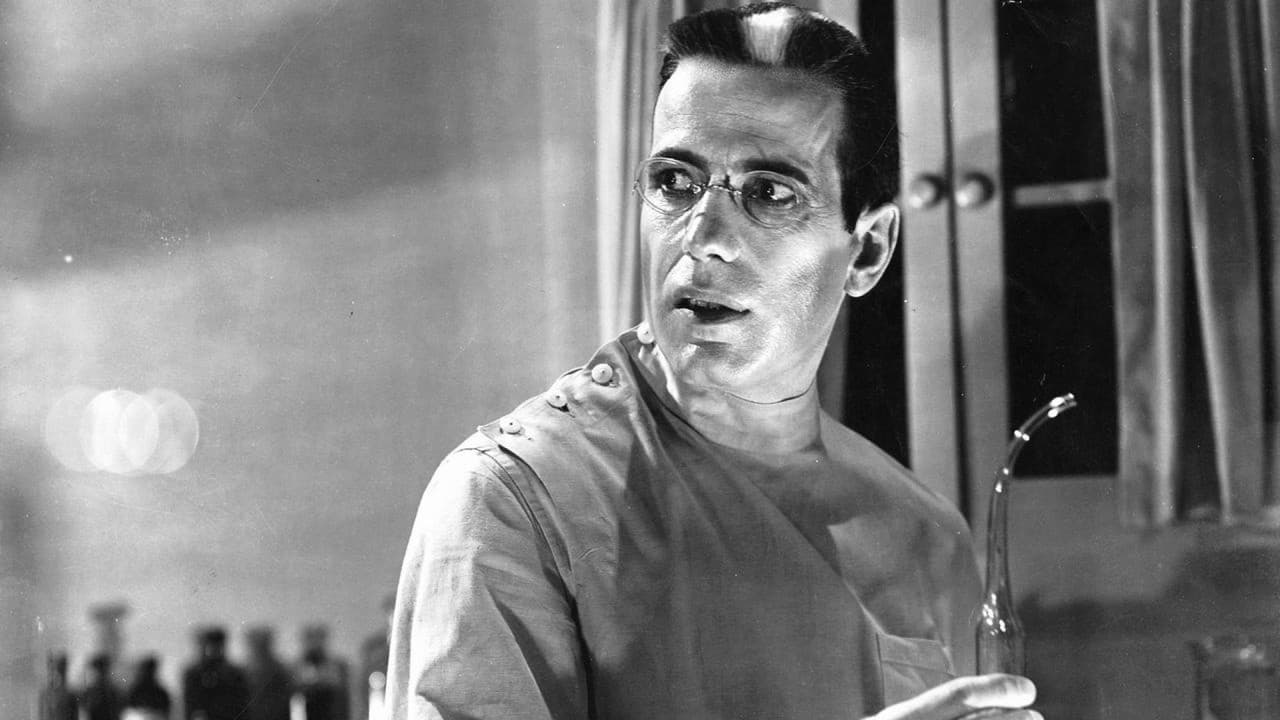 Backdrop – Das zweite Leben des Dr. X