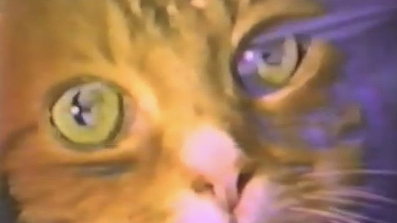 Backdrop – A Study In Scarlet