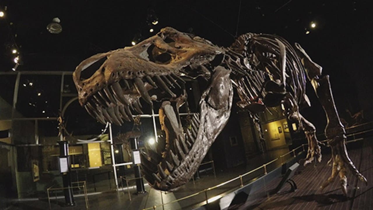 Backdrop – Dinosaur Extinction: Behind the Asteroid Impact Theory